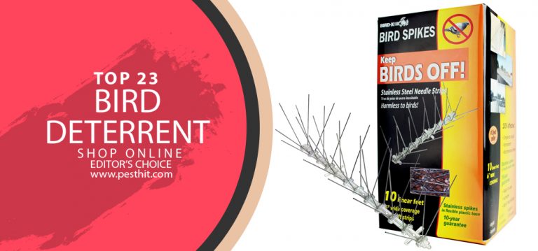 Best Bird Deterrent Top 23 Bird Deterrents