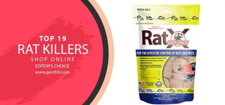 Best Rat Killers 2023 TOP 19 Rat Poisons