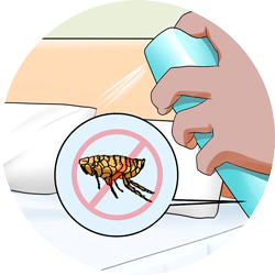 Read more about the article Where Do Fleas Hide? Most Popular Spots