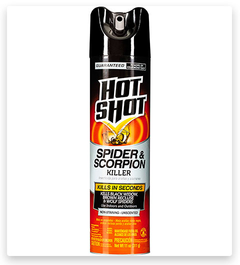 Hot Shot, uccisore di ragni e scorpioni in aerosol