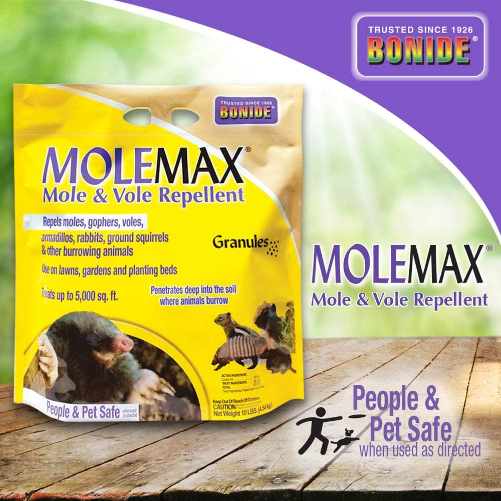 Read more about the article Best Mole Repellent 2022