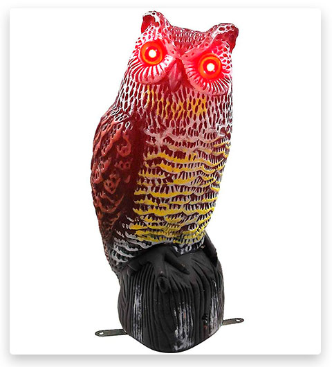 Hausse Solar Powered Fake Owl Decoy Scarecrow Squirrel Repellent