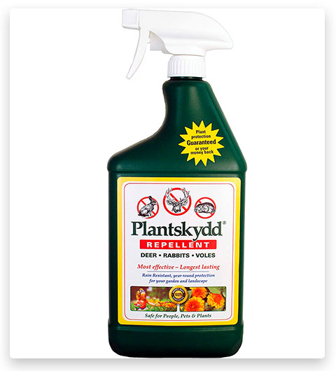 Repelente líquido de ardillas Plantskydd