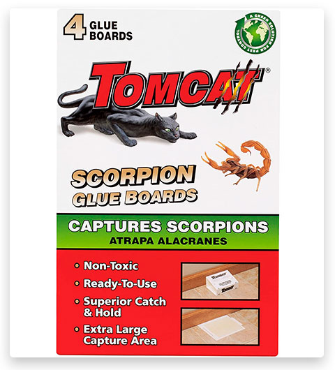 Tomcat Scorpion Glue Board - Scorpione assassino