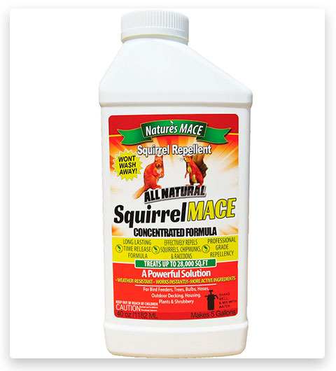 Il concentrato repellente per scoiattoli Nature's Mace