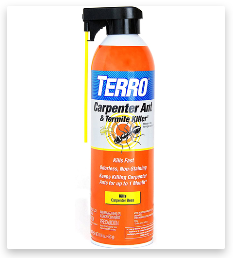 TERRO Tue les fourmis charpentières et les termites.