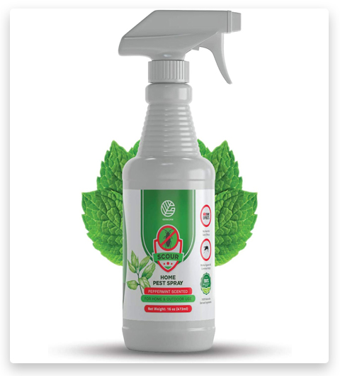 GERMOFIN Scour Spray organico per il controllo dei parassiti domestici, sicuro per le formiche.