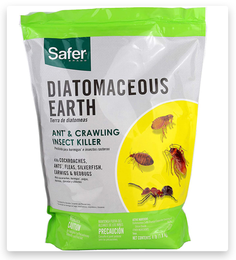 Safer Diatomaceous Earth-Bed Bug Flea, Ant, Crawling Insect Killer Flea Powder (Poudre anti-puces)