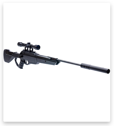 Rifle de aire comprimido Bear River TPR 1300 para la caza de ardillas