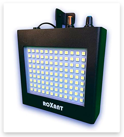 Roxant Pulse Luce stroboscopica a LED ultra luminosa - Funziona come deterrente umano per parassiti e scoiattoli