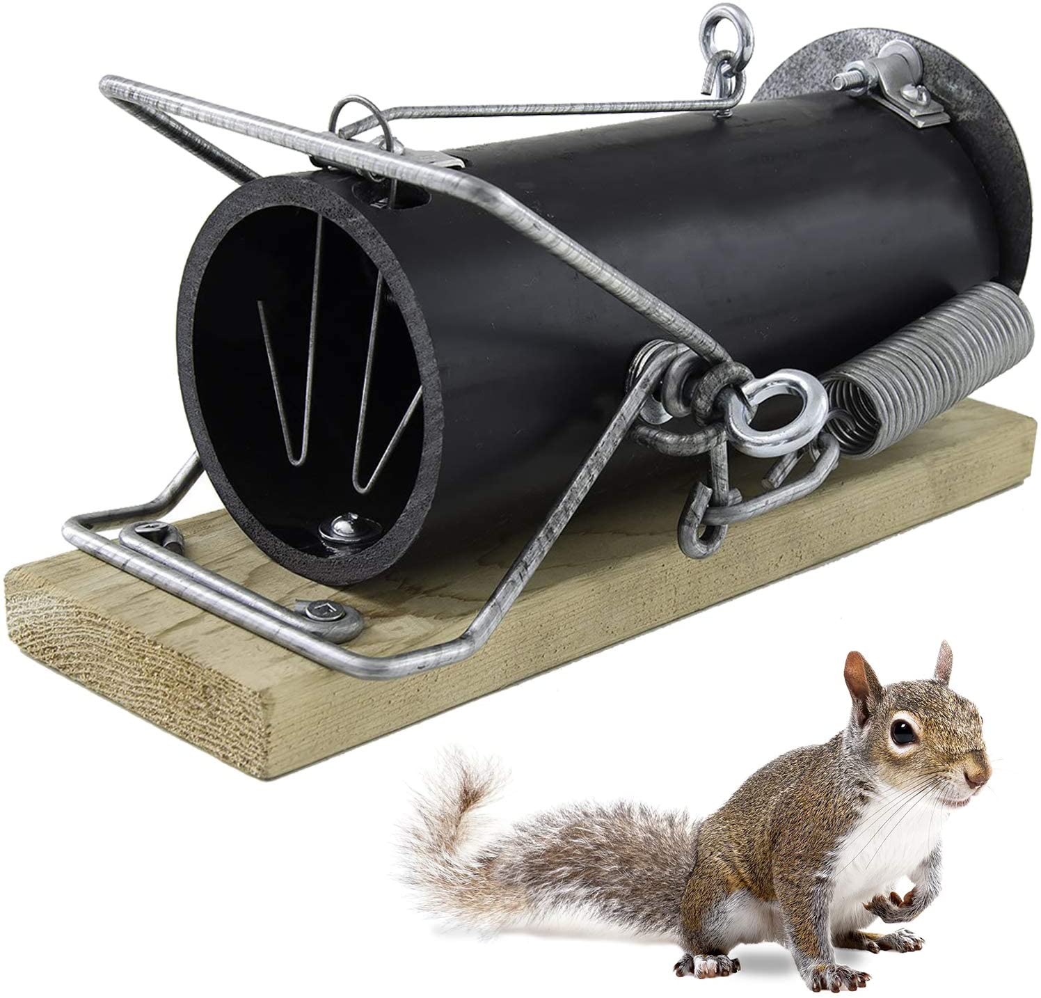 Más información sobre el artículo Best Squirrel Trap 2022