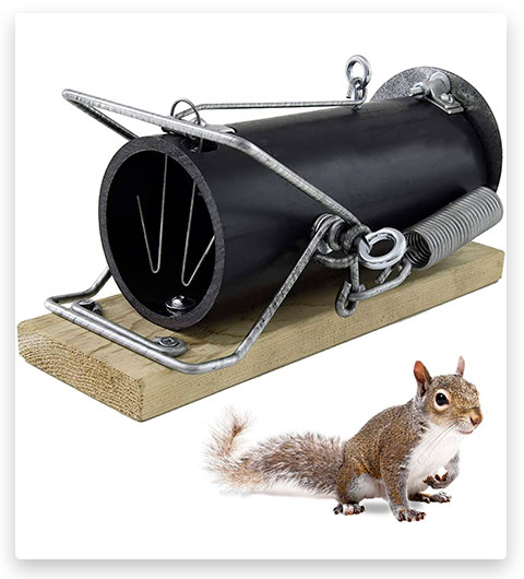 OUELL 3-10 Trappola per scoiattoli a scatto ad alta efficienza e ad alte prestazioni