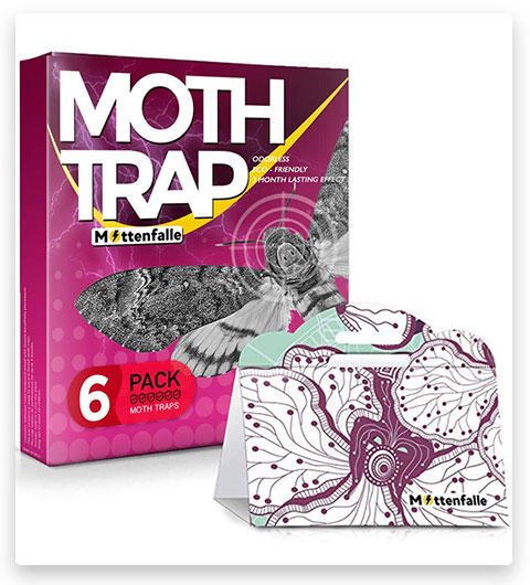 Mottenfalle Clothes Moth Traps