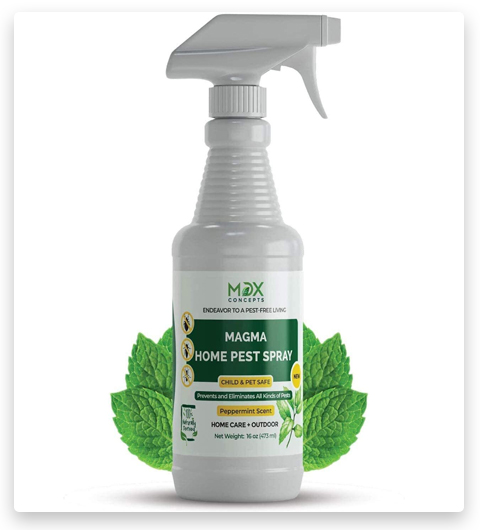 MDX Concepts Spray antiparasitaire biologique pour la maison, sans danger pour les animaux, anti-fourmis.
