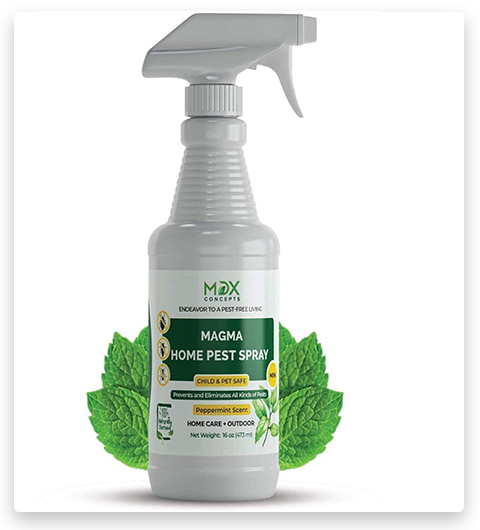 Spray antipulci biologico per la casa - Olio di menta piperita