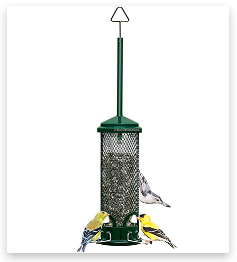 Squirrel Buster Mini Squirrel-Proof Baffle Bird Feeder with 4 Metal Perches