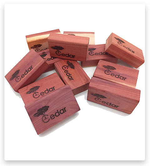 PTCLTRAPS - Closet Essentials Red Cedar Clothes Protector and Moth Repellent