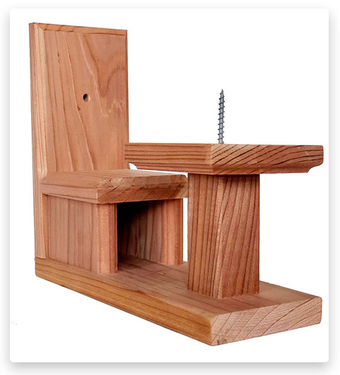 Phloem Squirrel Feeder Picnic Table and Chair for Outside