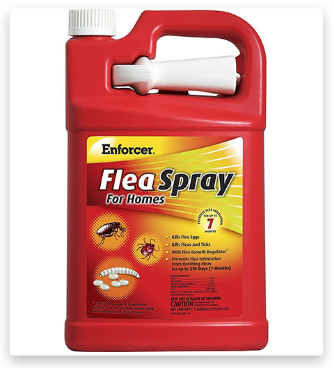 Enforcer Parent Flea Spray pour les maisons