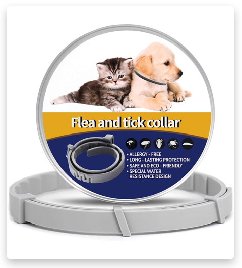 MIUSSAA Pet Flea Collar for Cats & Dogs