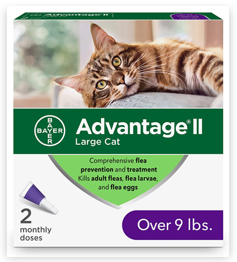 Advantage II Flea Treatment and Prevention for Large Cats