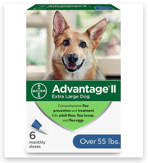 Advantage II Tratamiento antipulgas y antipiojos para perros grandes