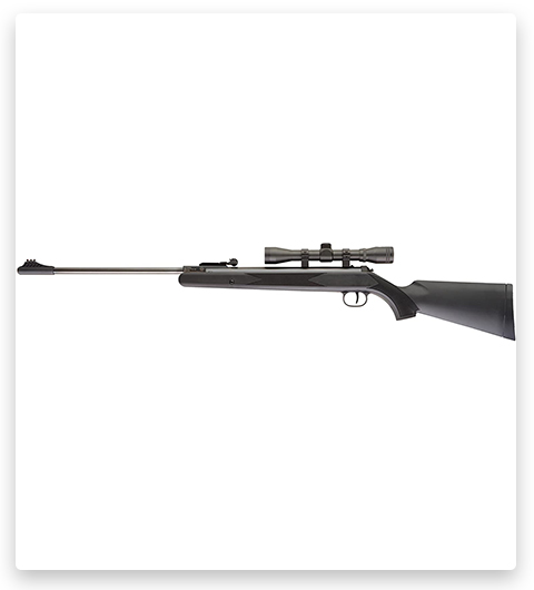 Rifle Ruger Blackhawk Combo Air Squirrel