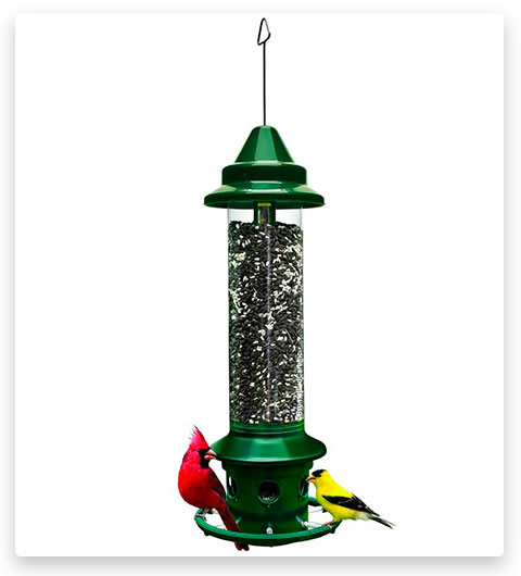 Squirrel Buster Plus Squirrel-proof Squirrel Baffle Bird Feeder with Cardinal Ring and 6 Feeding Ports