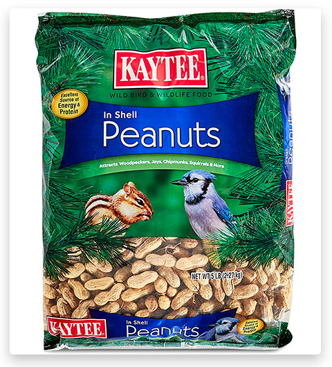 Kaytee Wild Birds Food Supplies Cebo para ardillas