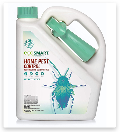 Ecosmart, il disinfestante organico per la casa, sicuro per gli animali domestici, che uccide le formiche