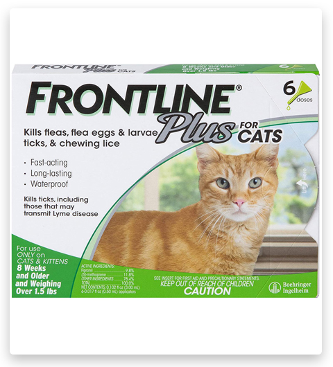 FRONTLINE Plus Tick and Flea Control For Cats Treatment