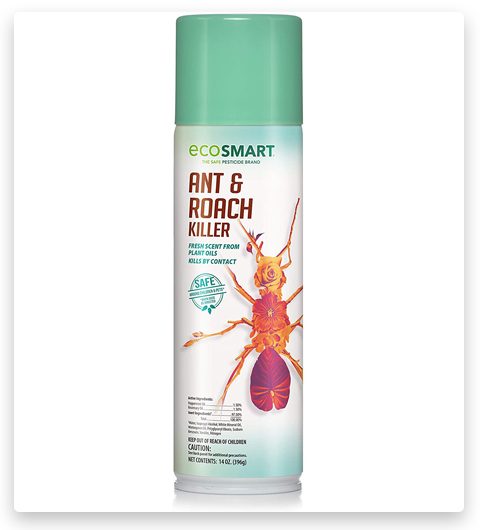EcoSMART, un producto para matar hormigas y cucarachas que no daña a las mascotas