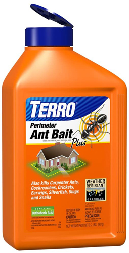 Read more about the article Best Carpenter Ant Killer 2023