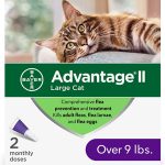Best Flea Control for Cats 2023