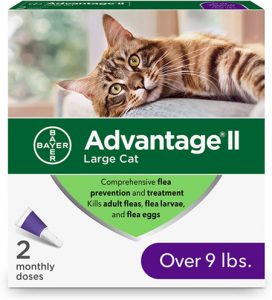 Read more about the article Best Flea Control for Cats 2023