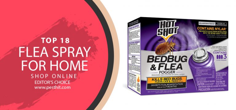 Best Flea Spray For Home | TOP 18 Flea Sprays For Home