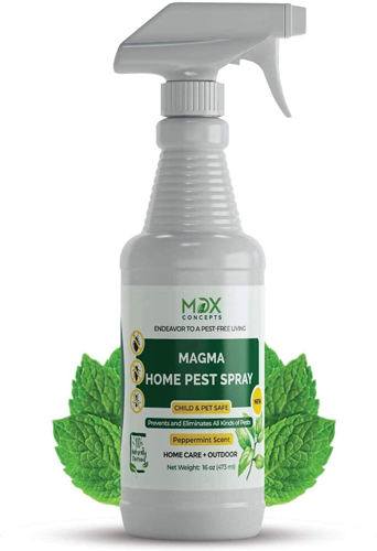 Read more about the article Best Pet Safe Ant Killer 2022