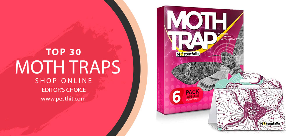 Best Moth Traps