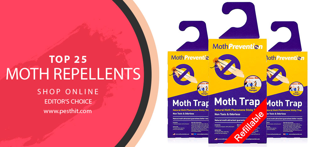 Best Moth Repellents