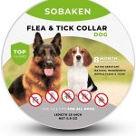 Best Flea Collar for Dogs 2023