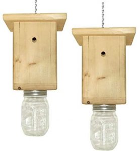 Read more about the article Best Carpenter Bee Trap 2022