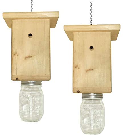 Read more about the article Best Carpenter Bee Trap 2023