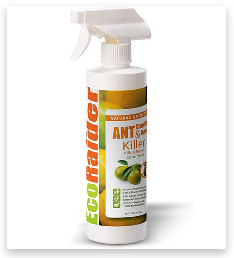 EcoRaider Insectos Rastreros y Hormigas en Spray