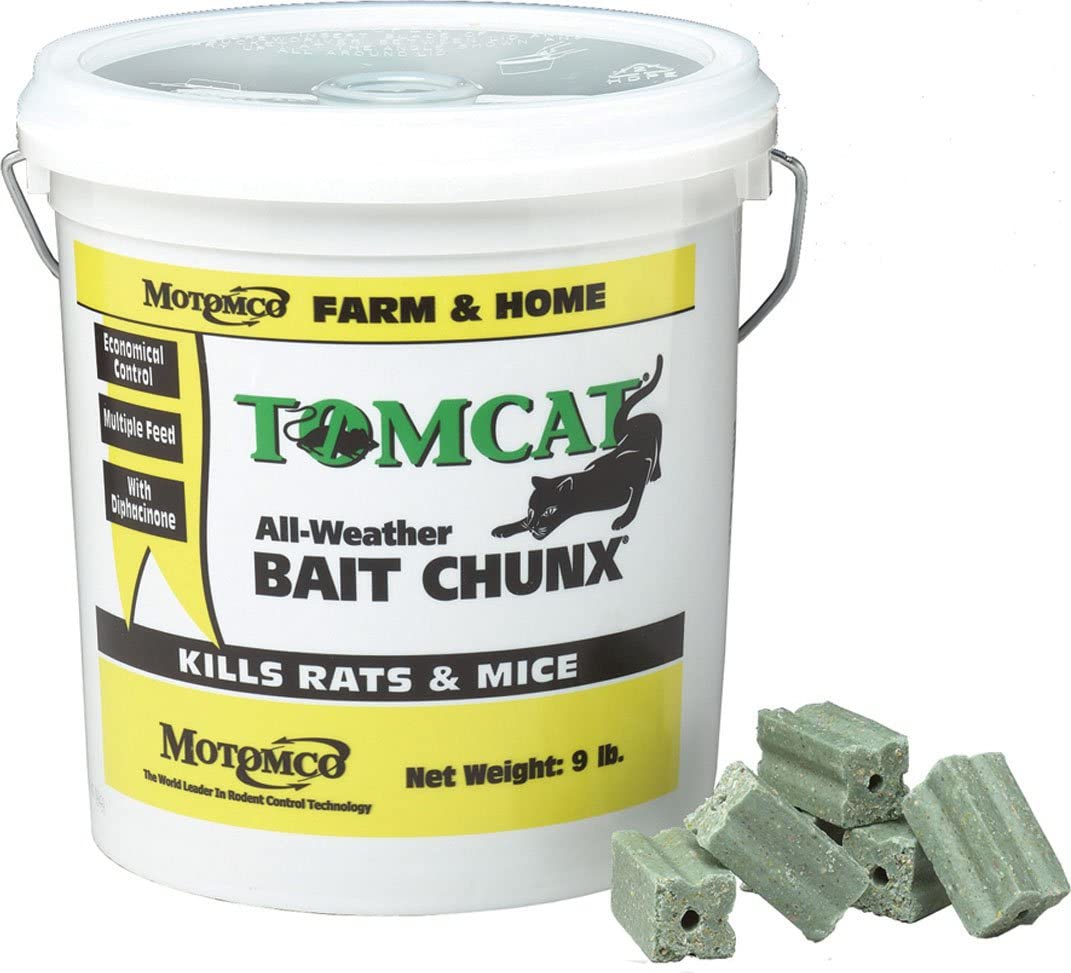 Read more about the article Best Mouse Baits 2023