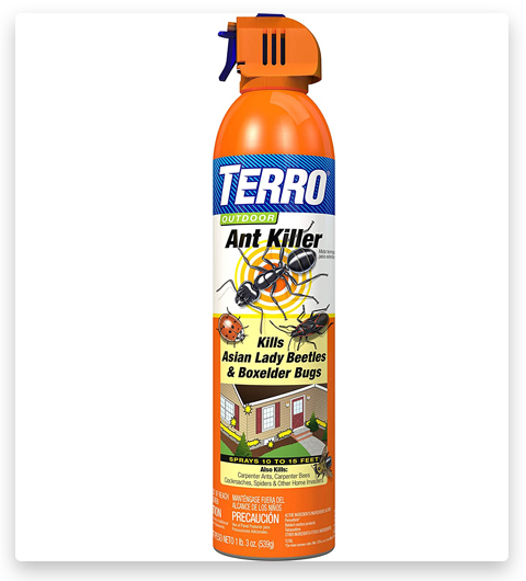 TERRO Spray killer di formiche e api per esterni