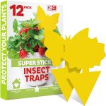 Best Fly Traps 2022