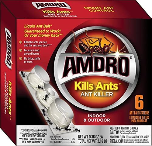 Read more about the article Best Ant Traps 2022