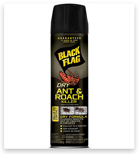 Black Flag Dry Ant and Roach Killer Aerosol