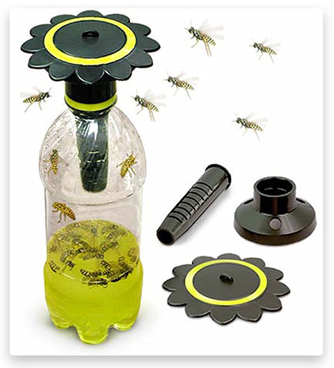 Trampa para avispas y abejas carpinteras de Gadjit Soda Bottle