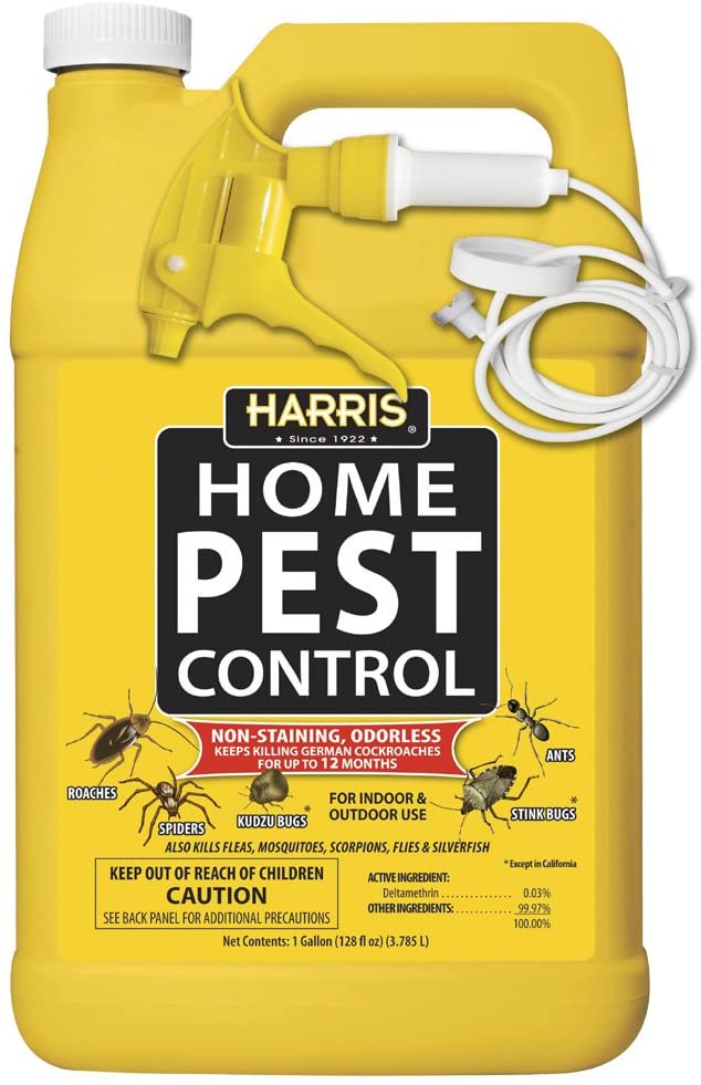 Más información sobre el artículo Best Insecticides For Roaches 2022